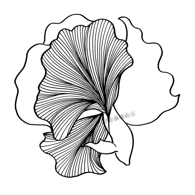 简笔画小金鱼，一步一步教你画-5.jpg