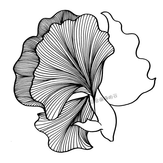 简笔画小金鱼，一步一步教你画-6.jpg