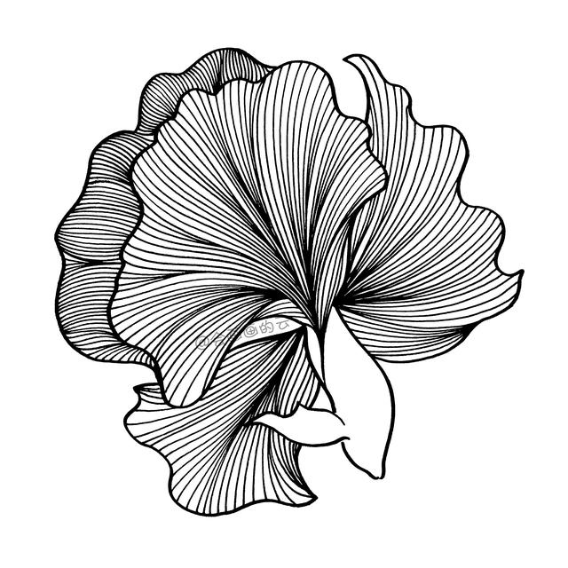 简笔画小金鱼，一步一步教你画-7.jpg