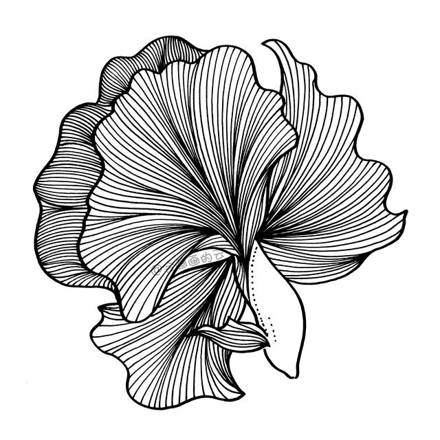 简笔画小金鱼，一步一步教你画-8.jpg