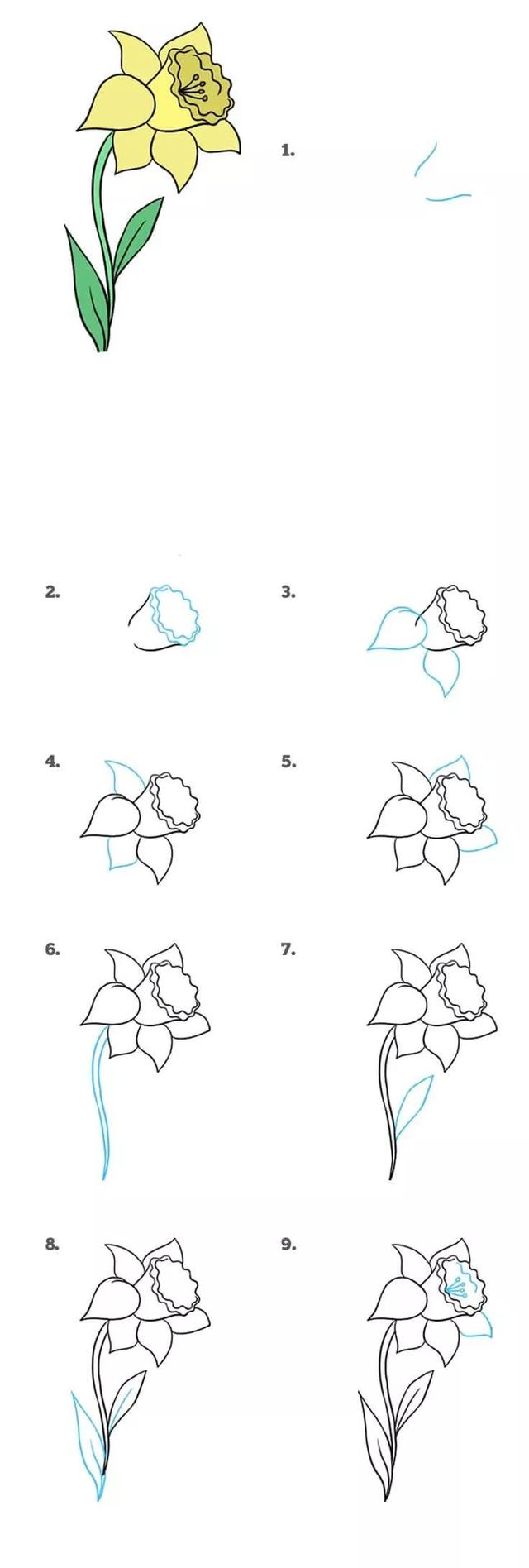 每天学一幅简笔画--花怎么画？精选各类花的简笔画大全-4.jpg