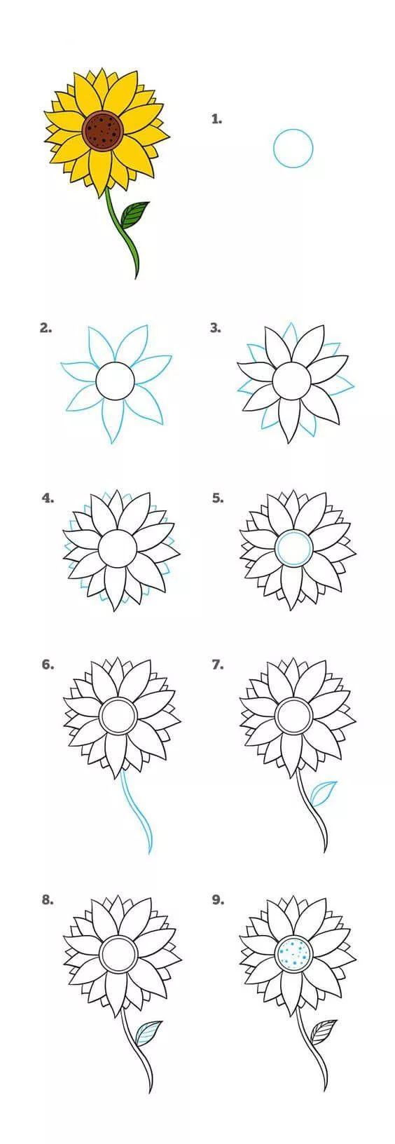 每天学一幅简笔画--花怎么画？精选各类花的简笔画大全-5.jpg