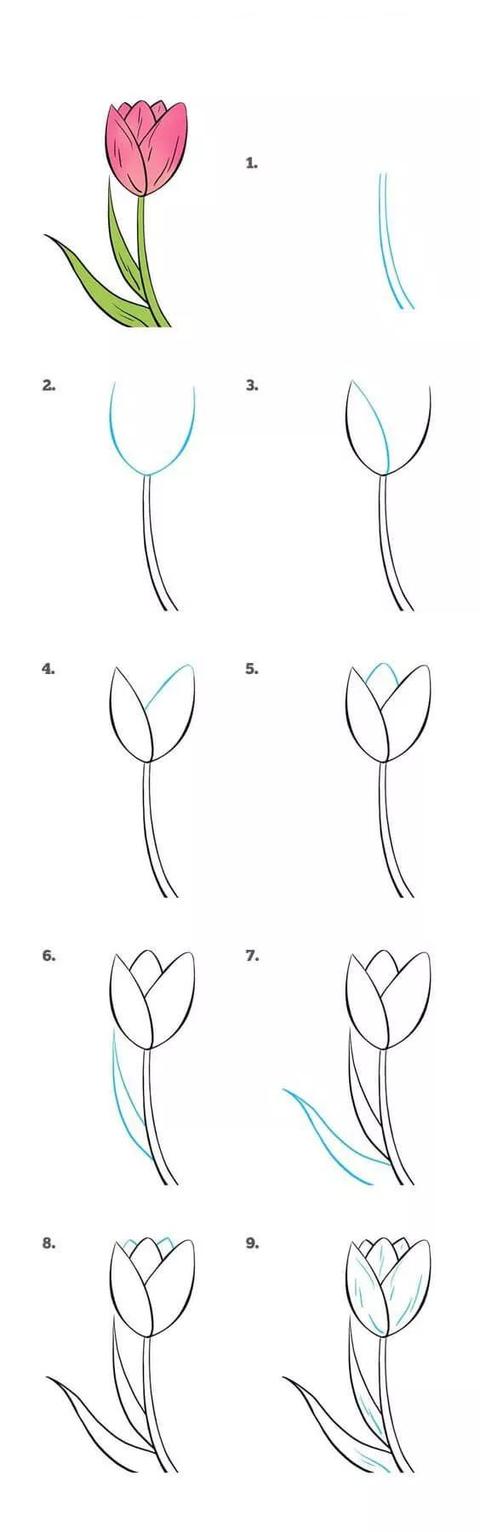 每天学一幅简笔画--花怎么画？精选各类花的简笔画大全-6.jpg