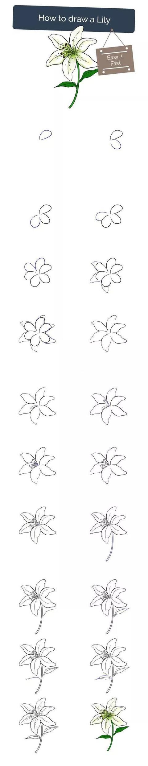 每天学一幅简笔画--花怎么画？精选各类花的简笔画大全-7.jpg