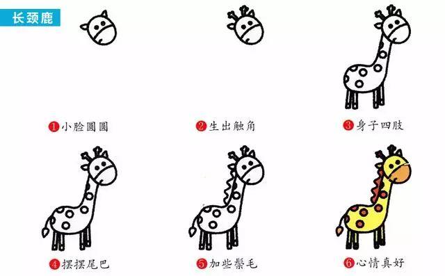 每天学一幅简笔画-30种动、植物画法的图解，一学就会-13.jpg