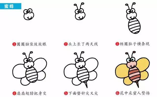每天学一幅简笔画-30种动、植物画法的图解，一学就会-9.jpg