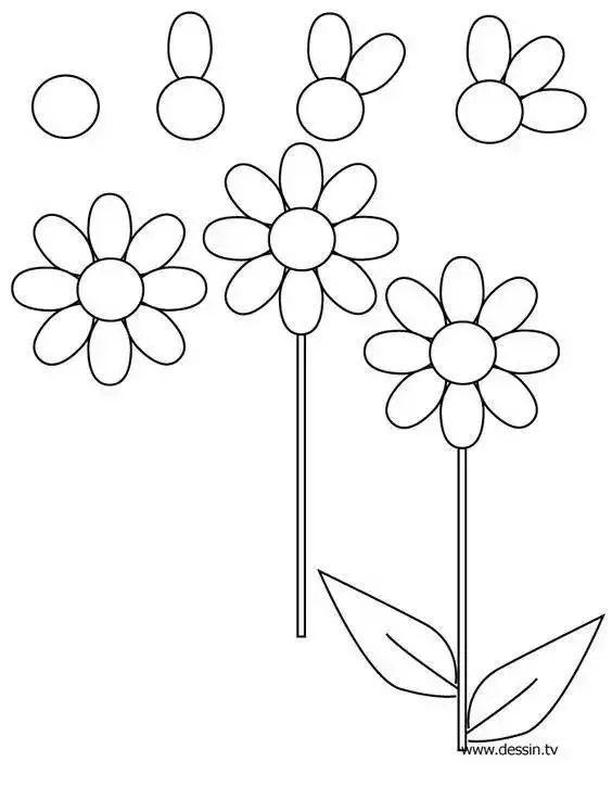 每天学一幅简笔画-30种动、植物画法的图解，一学就会-23.jpg