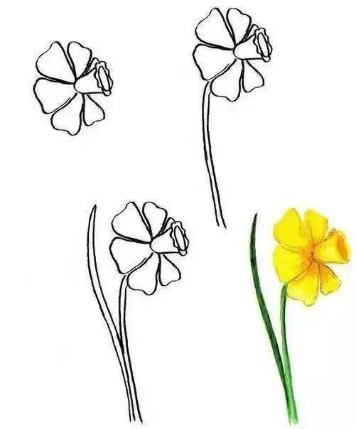 每天学一幅简笔画-30种动、植物画法的图解，一学就会-18.jpg