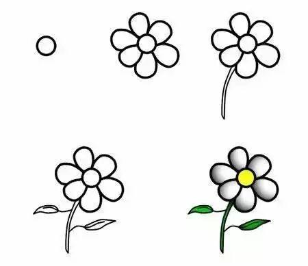 每天学一幅简笔画-30种动、植物画法的图解，一学就会-24.jpg