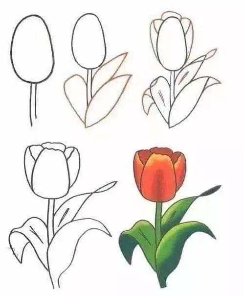 每天学一幅简笔画-30种动、植物画法的图解，一学就会-22.jpg