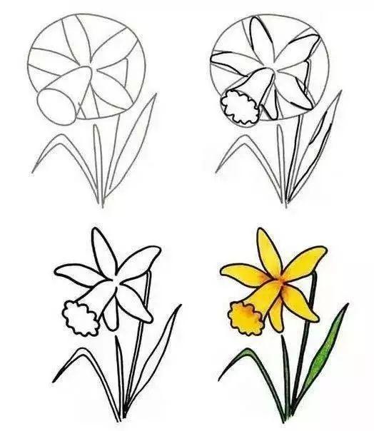 每天学一幅简笔画-30种动、植物画法的图解，一学就会-20.jpg