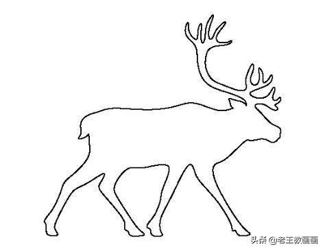 创意简笔画，简单有趣，只需一笔就能画一只动物-10.jpg