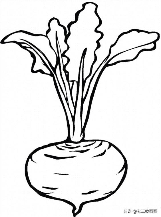 藏不住了，蔬菜水果简笔画线稿大全，宝贵的资料分享给你-5.jpg