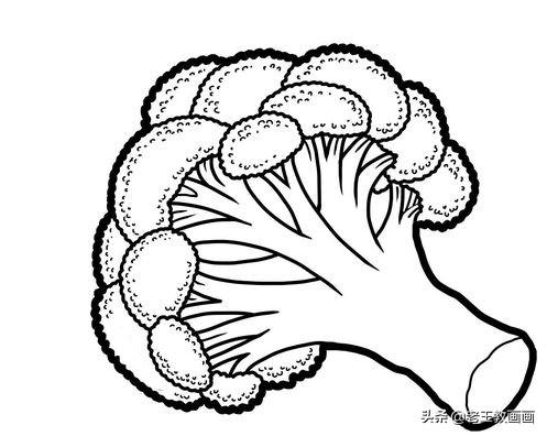 藏不住了，蔬菜水果简笔画线稿大全，宝贵的资料分享给你-14.jpg