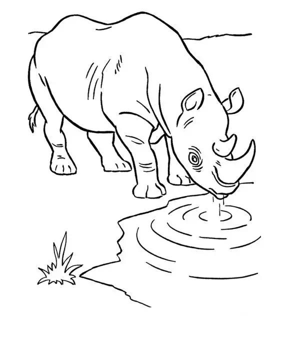 动物简笔画高清线稿，适合孩子画的简笔画-9.jpg