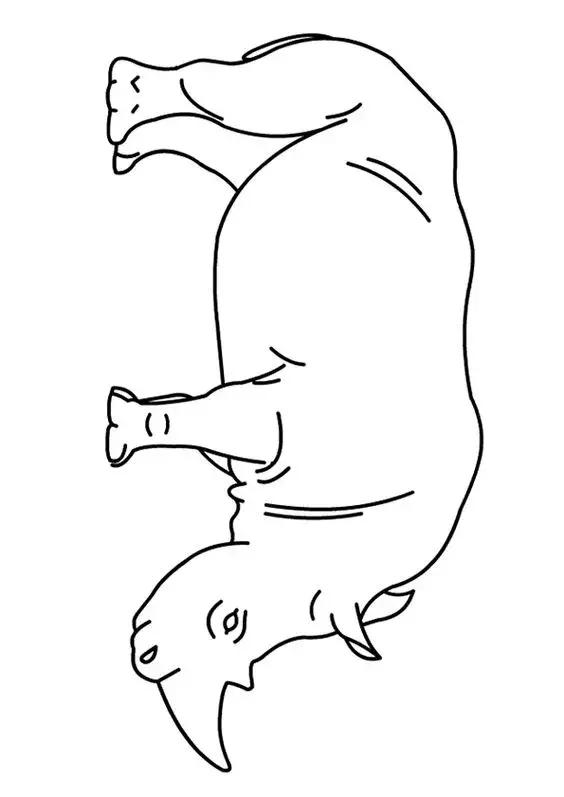动物简笔画高清线稿，适合孩子画的简笔画-10.jpg