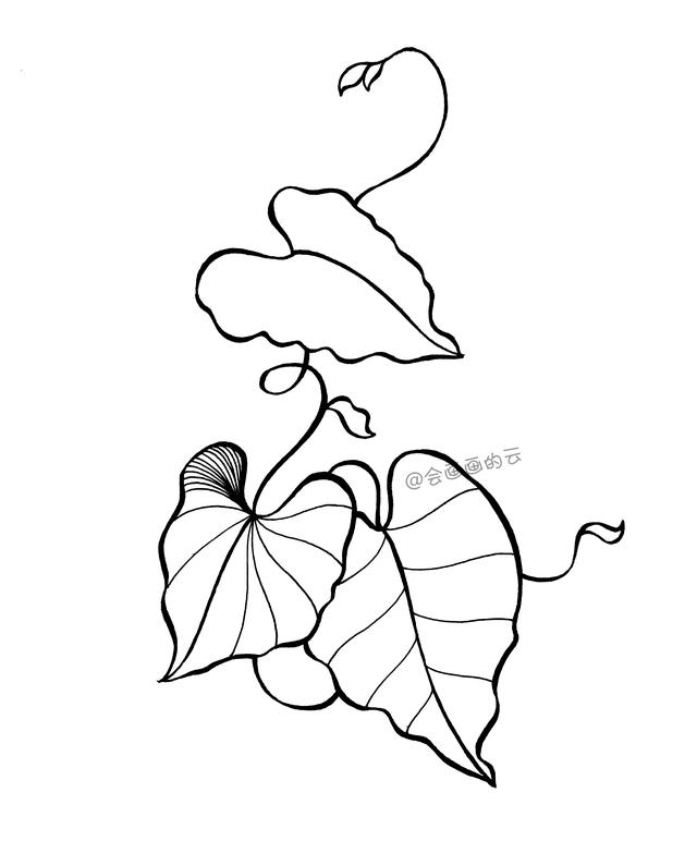 手残党也能画的简笔画，柔软的藤蔓和叶子-4.jpg