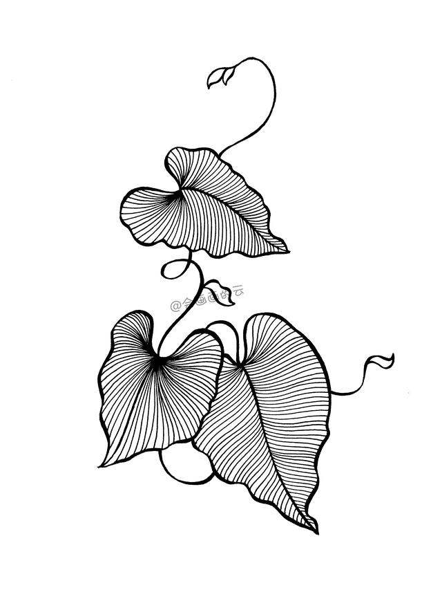 手残党也能画的简笔画，柔软的藤蔓和叶子-9.jpg