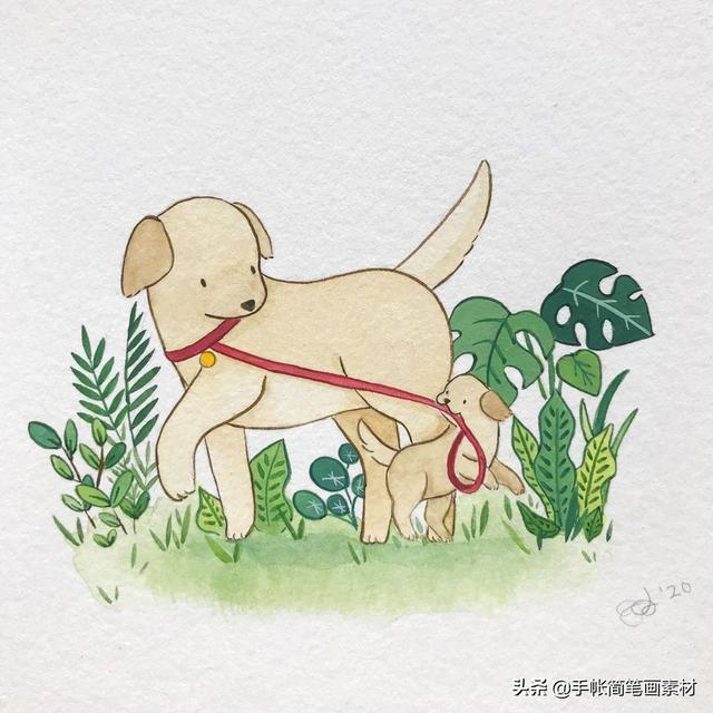 小动物水彩简笔画素材~收藏起来备用哦-8.jpg