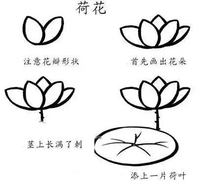 50个带儿歌的简笔画教程，4步就能学画，孩子边唱边画记得牢-25.jpg