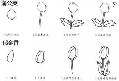 50个带儿歌的简笔画教程，4步就能学画，孩子边唱边画记得牢-26.jpg