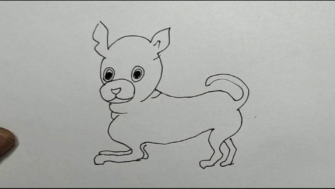 简笔画教学：用水性笔画狗狗，八步即可画成-9.jpg