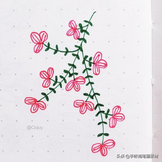 简单实用的花叶植物简笔画手帐素材~收藏备用哦-10.jpg
