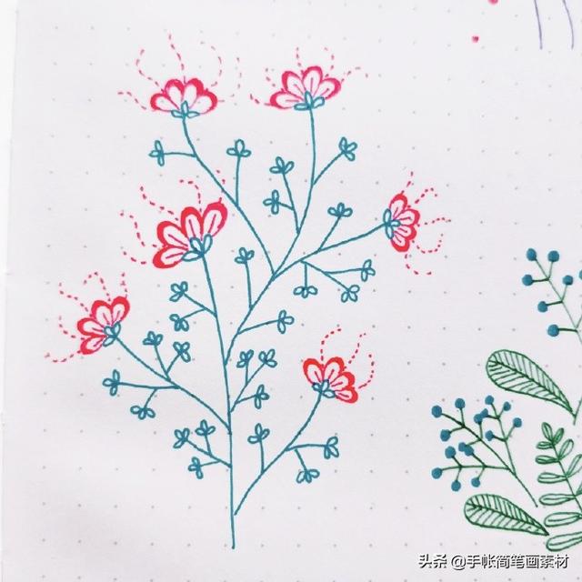 简单实用的花叶植物简笔画手帐素材~收藏备用哦-7.jpg
