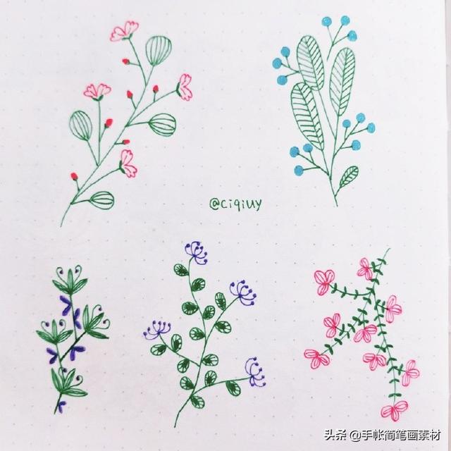 简单实用的花叶植物简笔画手帐素材~收藏备用哦-9.jpg