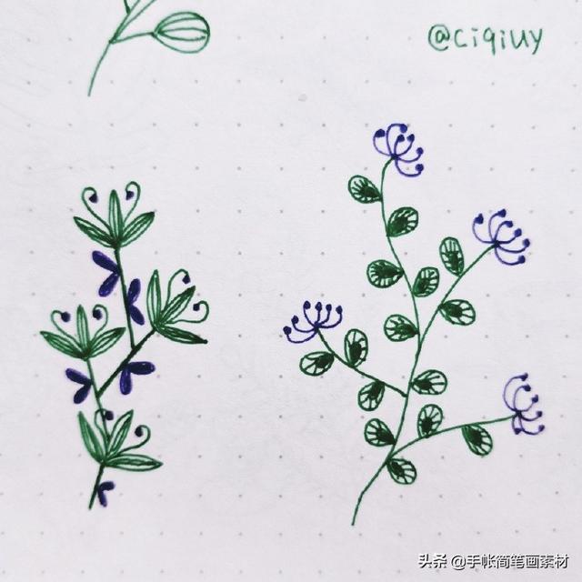 简单实用的花叶植物简笔画手帐素材~收藏备用哦-16.jpg