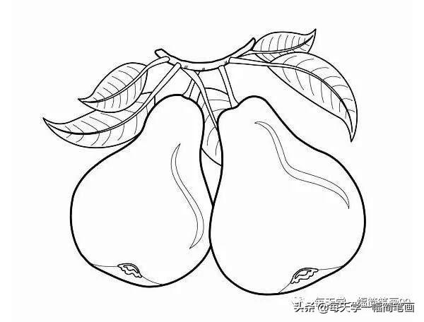 每天学一幅简笔画--一大波水果简笔画图片大全-4.jpg