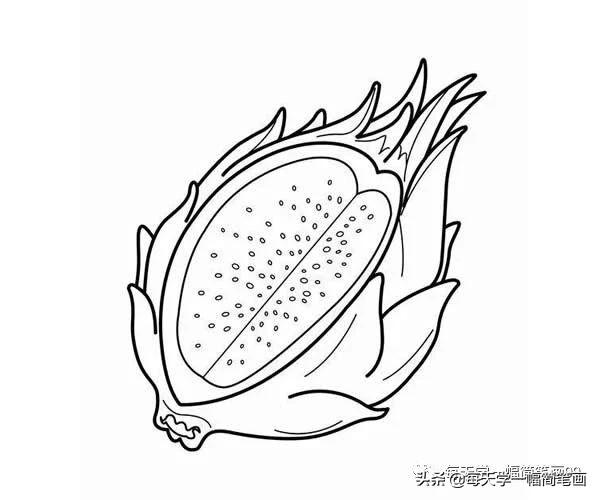 每天学一幅简笔画--一大波水果简笔画图片大全-5.jpg