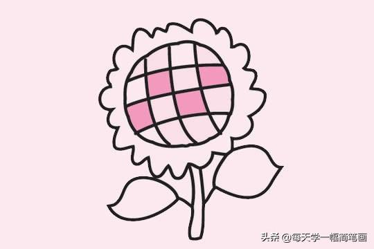 每天学一幅简笔画--向日葵简笔画画法步骤教程及图片大全-6.jpg
