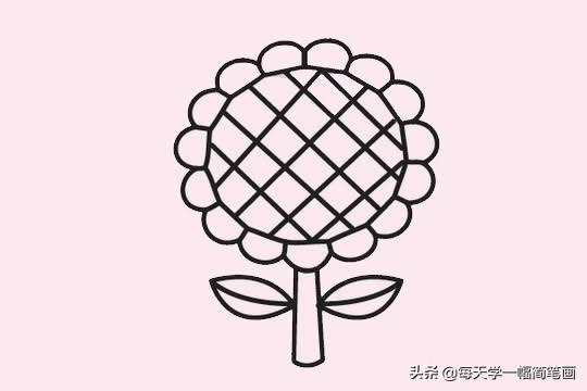每天学一幅简笔画--向日葵简笔画画法步骤教程及图片大全-8.jpg