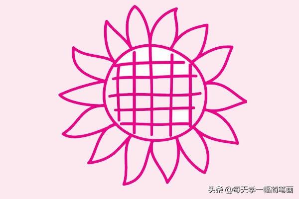 每天学一幅简笔画--向日葵简笔画画法步骤教程及图片大全-5.jpg