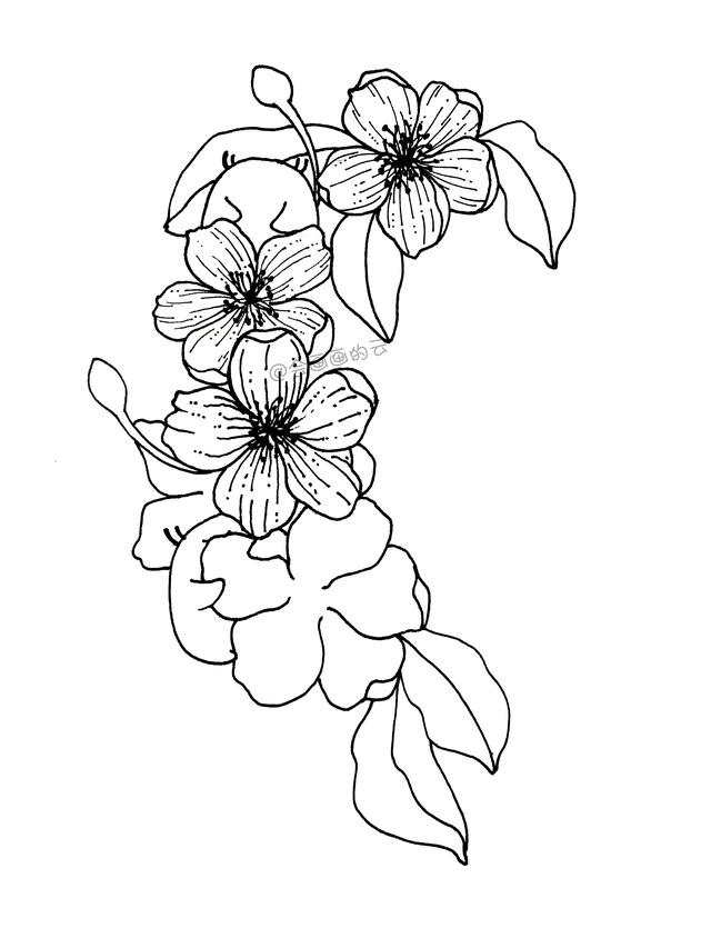 简笔画花朵详细教程，愿你每天都开心！-5.jpg