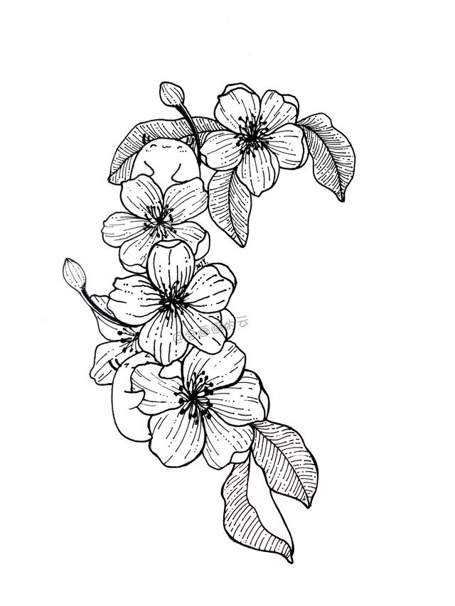简笔画花朵详细教程，愿你每天都开心！-9.jpg