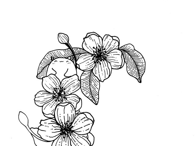 简笔画花朵详细教程，愿你每天都开心！-6.jpg