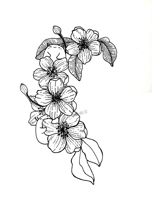 简笔画花朵详细教程，愿你每天都开心！-8.jpg