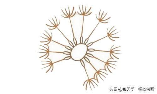 每天学一幅简笔画--蒲公英简笔画的画法步骤教程及图片大全-4.jpg
