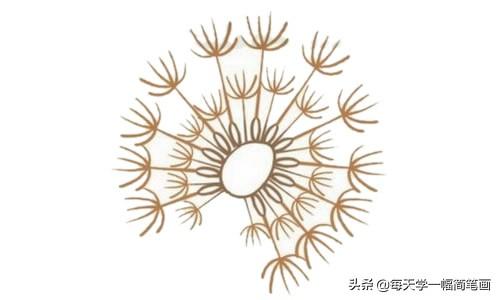 每天学一幅简笔画--蒲公英简笔画的画法步骤教程及图片大全-5.jpg