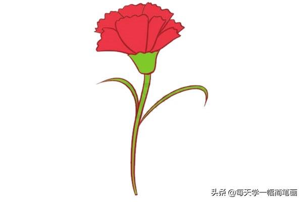 每天学一幅简笔画--母亲节送给妈妈的康乃馨简笔画-5.jpg