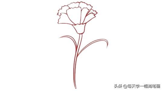 每天学一幅简笔画--母亲节送给妈妈的康乃馨简笔画-4.jpg