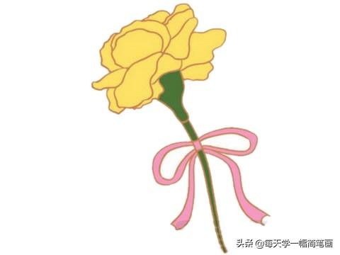 每天学一幅简笔画--母亲节送给妈妈的康乃馨简笔画-6.jpg