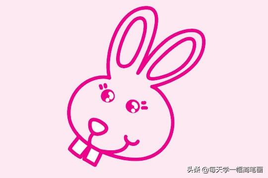 每天学一幅简笔画-可爱的小兔子简笔画画法步骤教程及图片大全-5.jpg