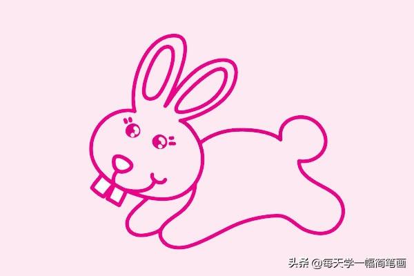 每天学一幅简笔画-可爱的小兔子简笔画画法步骤教程及图片大全-6.jpg