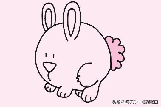 每天学一幅简笔画-可爱的小兔子简笔画画法步骤教程及图片大全-9.jpg