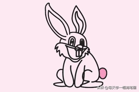 每天学一幅简笔画-可爱的小兔子简笔画画法步骤教程及图片大全-10.jpg