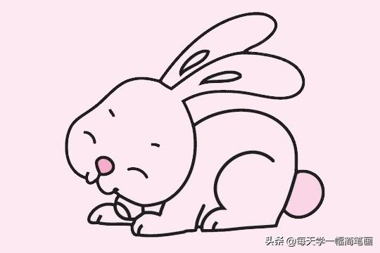 每天学一幅简笔画-可爱的小兔子简笔画画法步骤教程及图片大全-11.jpg