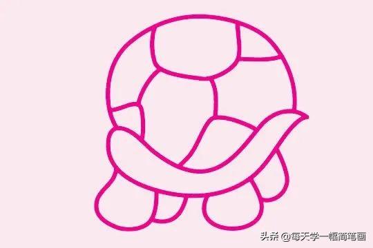 每天学一幅简笔画--简单的乌龟简笔画画法步骤教程及图片大全-4.jpg